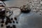 Closeup shot of a glass pitcher full of raisins and a spoon with walnut, sunflower, and pumpkin