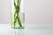 Closeup shot of a glass vase with branches of Bamboo