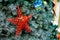 Closeup shot of a glittery star decoration on a Christmas tree