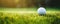 A Closeup Shot Of A Golf Ball Resting On A Lush Green Grass Field