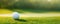 A Closeup Shot Of A Golf Ball Resting On A Lush Green Grass Field