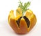 Closeup shot of green basil seedling in orange peels isolated on a white background