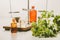 Closeup shot of green leafy herb with bottles and laboratory utensils on a white background