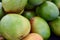 Closeup shot of green tropical mangos