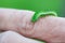 Closeup shot of a green worm on a person`s hand with a blurred background