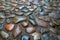 Closeup shot of a ground made of pebblestone on a rainy day in Tallinn, Estonia