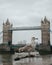 Closeup shot of a gull with the Tower Bridge in the background