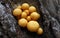 Closeup shot of Gymnopilus junonius on the bark of a tree