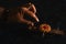 Closeup shot of a hand reaching for a jam cookie in a mousetrap on a black table