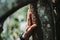 Closeup shot of a hand touching a mossy tree trunk in the Peruvian Amazonia