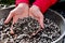 Closeup shot of hands digging up soil and fertilizer