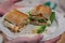 Closeup shot of a hands holding a plate of sandwiches with baguette