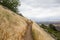 Closeup shot of the hiking trail in the Santa Susana Mountain range in California on a gloomy day