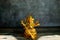 Closeup Shot Of Hindu Statue With A Blurred Background