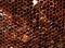 Closeup shot of honeycomb full of honey made by bees - background concept