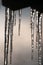 Closeup shot of ice stalactites melting, water droplets, isolated against a bokeh background