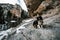 Closeup shot of an Icelandic sheepdog lying on the rocks in a canyon