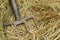 Closeup shot of an iron rake in the pile of dry grass