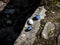 Closeup shot of a lapis lazuli blue crystals on a mossy rock surface under the sun