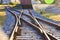 Closeup shot of a level crossing of railways in the daylight