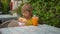 Closeup shot of a little boy eating a tasty pancake on a street market. Street food concept.