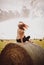 Closeup shot of a lonely female sitting on a grass heap on a bright sunny day