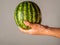 Closeup shot of male hand holding a watermelon