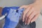 Closeup shot of manicurist in blue rubber gloves cleans cuticle on female nails using a milling cutter for manicure