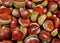 Closeup shot of many chestnuts