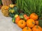 Closeup shot of many different pumpkins and sacks of potatoes for thanksgiving day