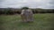 Closeup shot of the memorial stone for Clan Mackintosh, at the Culloden Battlefield.