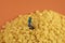 Closeup shot of mini construction worker figurines working on corn flakes