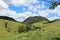 Closeup shot of a mountainous green field with random trees - perfect for background