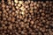 Closeup shot of nuts walnuts pattern backdrop