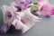 Closeup shot od purple-magenta gladiolus flowers on gray background