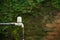 Closeup shot of an old outdoor water faucet and water drops leaking from it