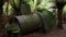 Closeup shot of an old rusted part of a train in the middle of a forest