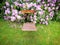 Closeup shot of an old rusty chair in front of a beautiful flower bed