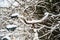 Closeup shot of an old rusty snow-covered bike outdoors