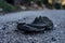 Closeup shot of an old and torn out shoe left behind on a gravel road