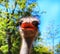 Closeup shot of an ostrich outdoors