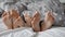 Closeup shot of parents and child\'s feet under the blanket on a cozy bed. Concept of family bonding, togetherness, and love.