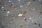 Closeup shot of a paved ground with fallen autumn foliage