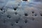 Closeup shot of pebbles and drift wood on wet beach sand