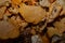 Closeup shot the peeled bolete mushrooms in a straw basket