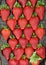 Closeup shot of a perfectly arranged strawberries sold in the market