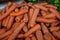 Closeup shot of a pile of carrots at the market