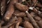 Closeup shot of a pile of cassava roots