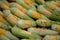 Closeup shot of a pile of corn with cut leaves