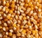 Closeup shot of a pile of corn kernels